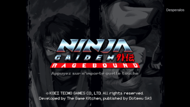 Ninja Gaiden