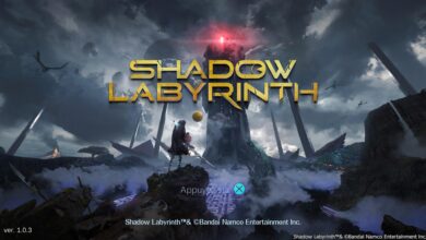 Shadow Labyrinth
