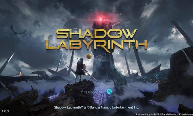 Shadow Labyrinth
