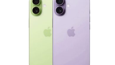 iphone 17 coque dragonne