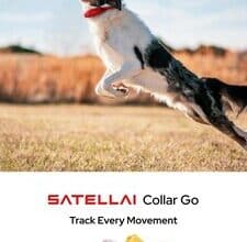 Découvrez Collar Go, le collier GPS chat chien intelligent pour sécurité et bien-être.
