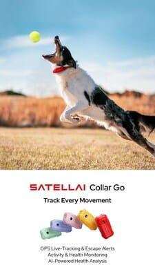 Découvrez Collar Go, le collier GPS chat chien intelligent pour sécurité et bien-être.