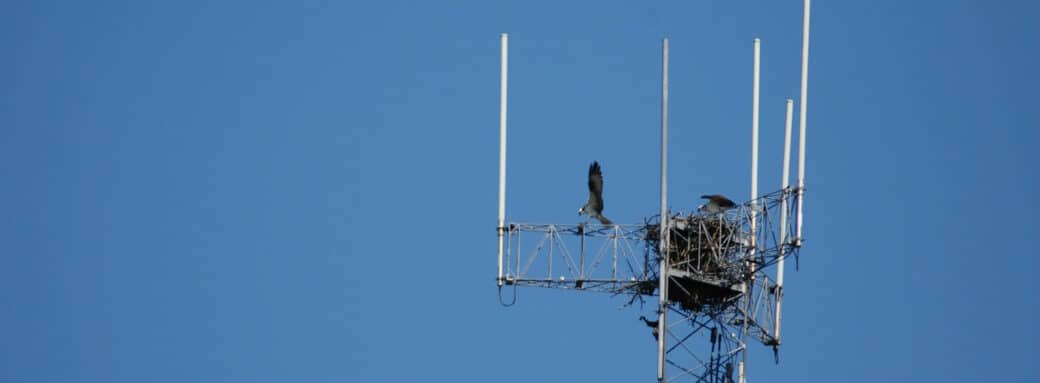 messagerie par satellite