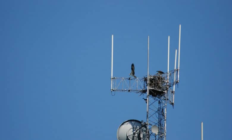 messagerie par satellite