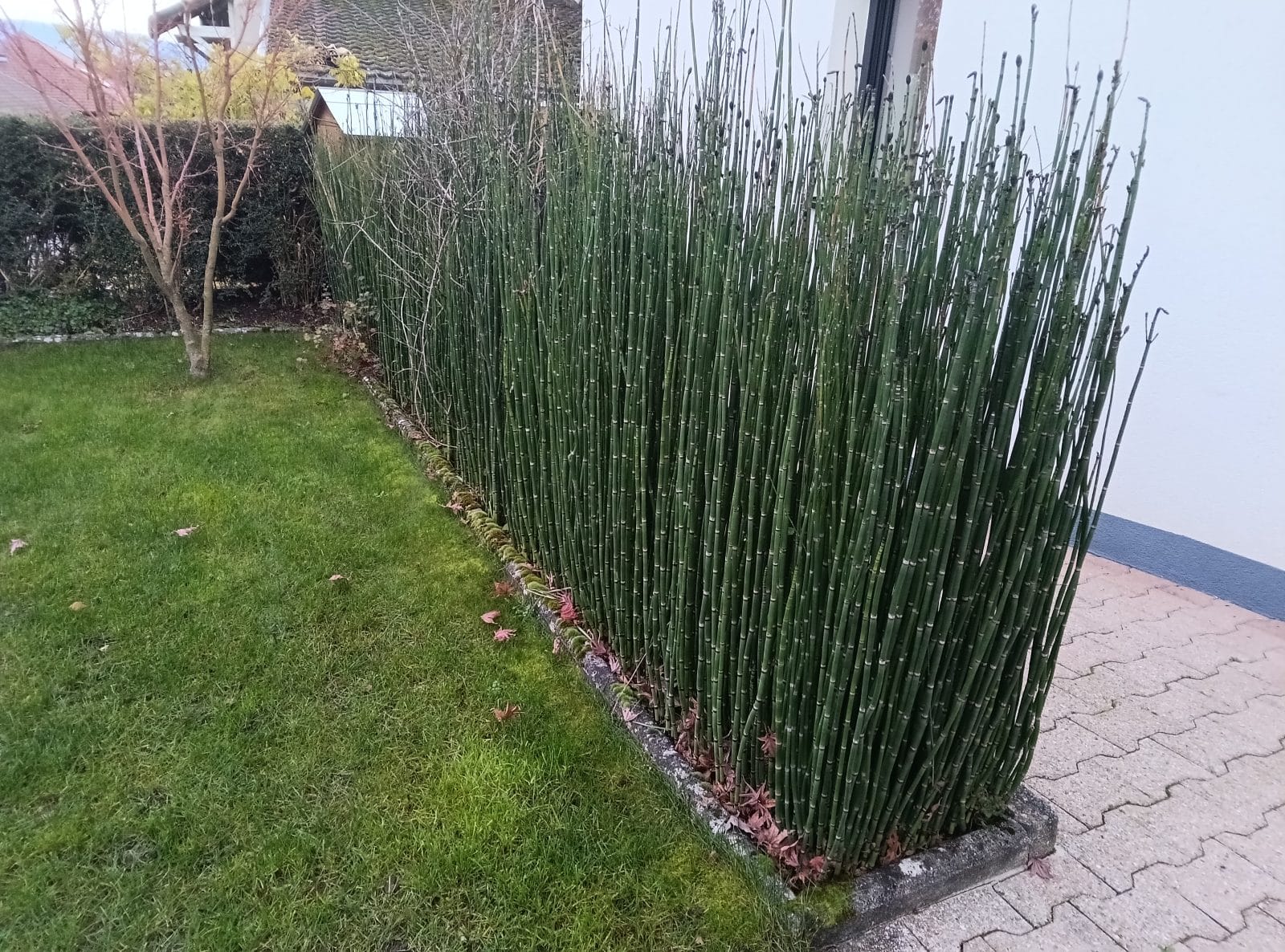 Photo prise en extérieur par la Lenovo Idea Tab Plus