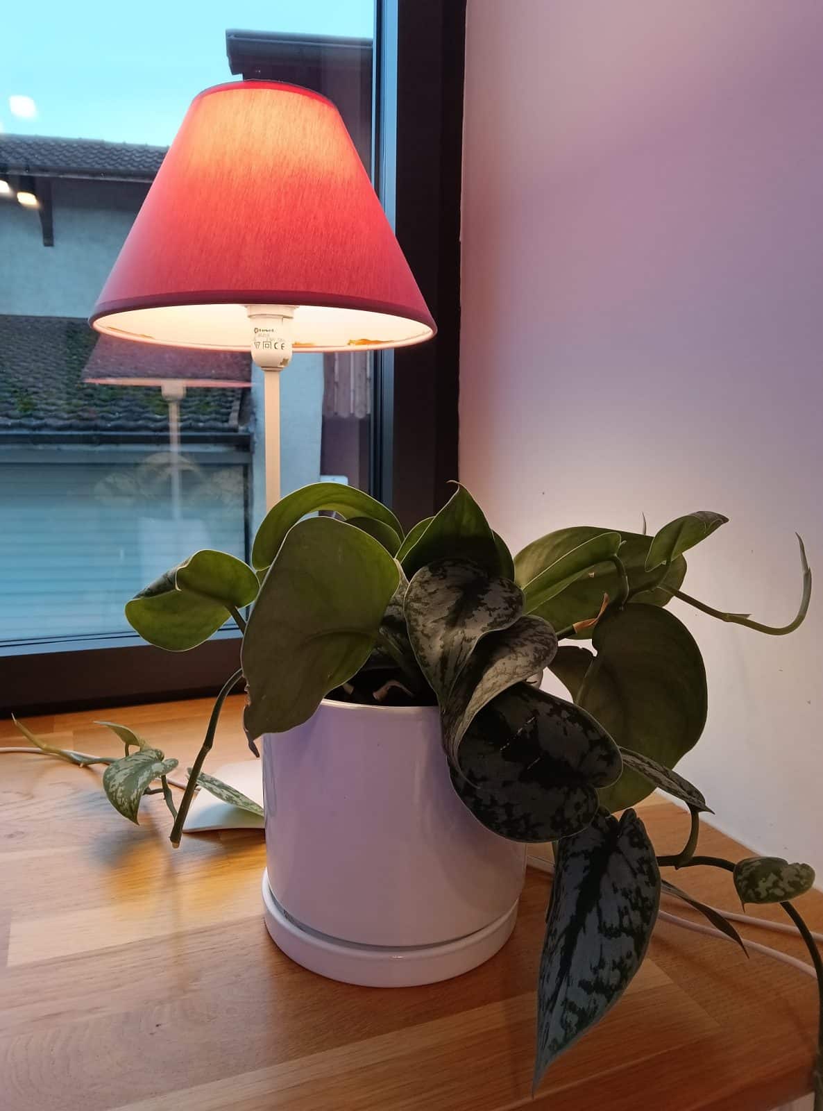 Photo prise en intérieur avec le Lenovo Idea Tab Plus