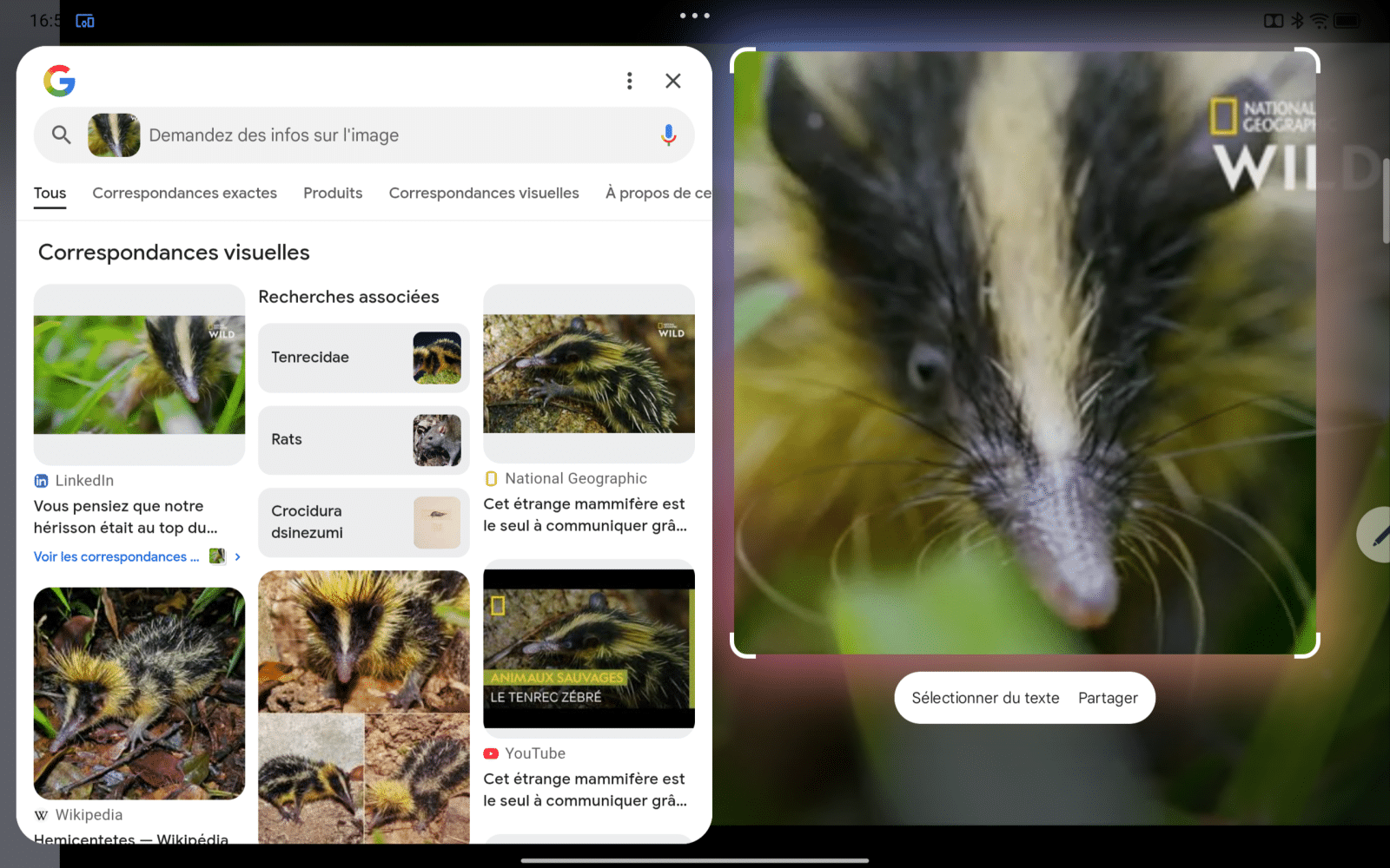 Appli Circle to Search