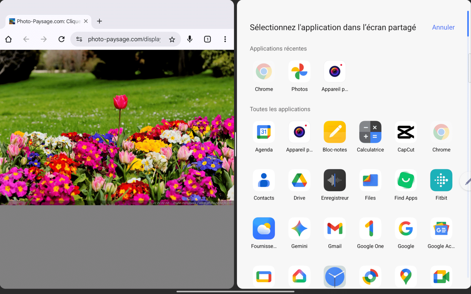 Fonction logiciel One Vision (Multi-fenêtres)