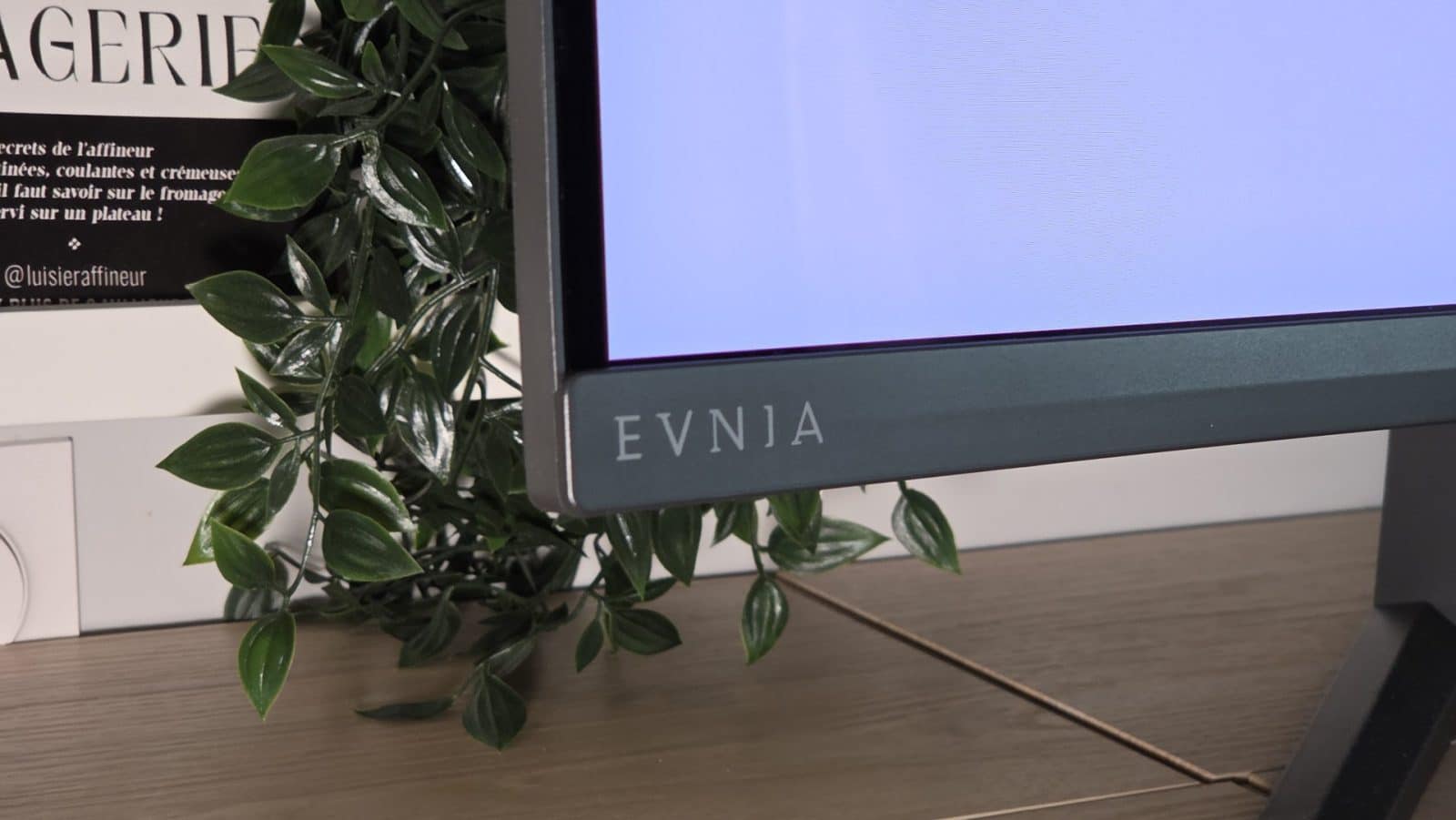 Philips Evnia 34M2C6500 - Marque