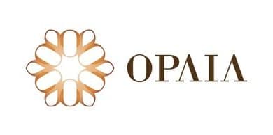 Opaia Motors lance la première usine automobile moderne et créatrice d’emplois en Angola.
