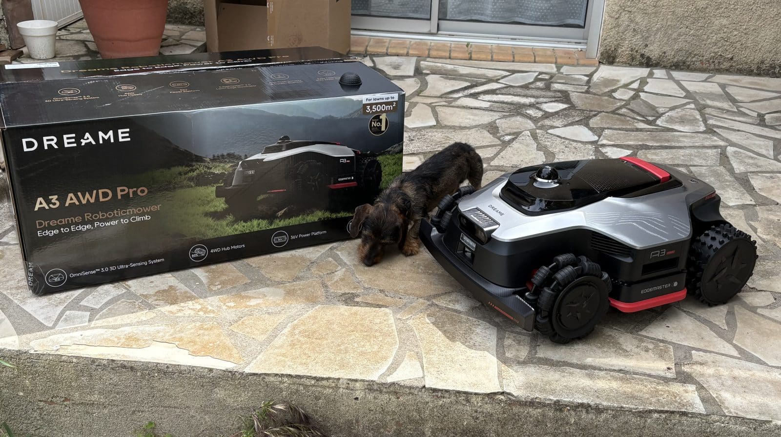 Dreame A3 AWD Pro 3500 avec le chien