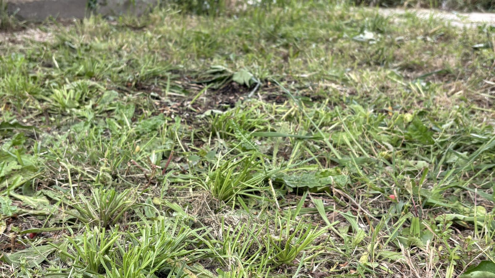 Test du robot sur un terrain vraiment pas propice