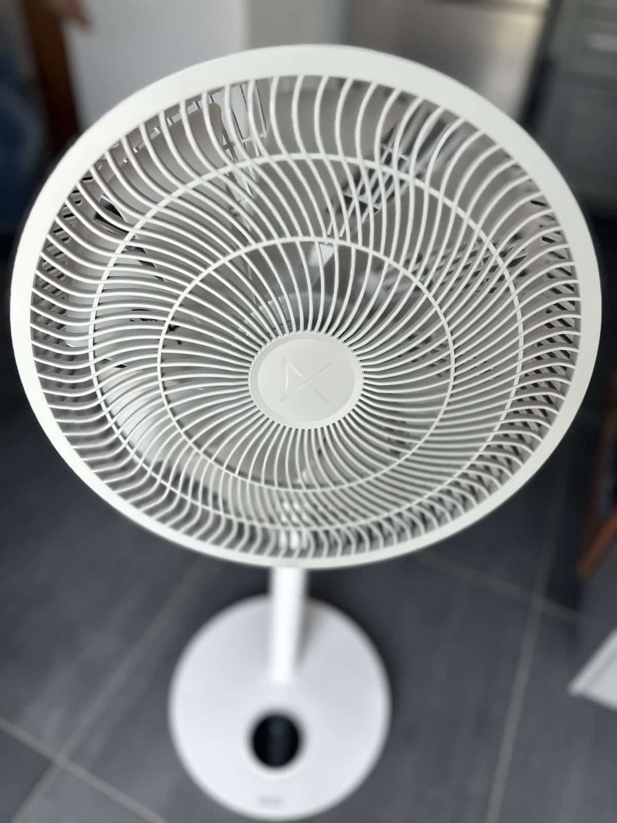 Duux Whisper Flex 2 entier