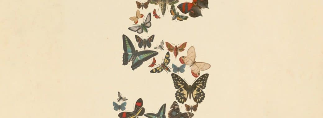 anthropic claude fable 5