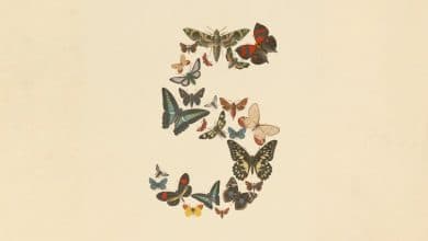 anthropic claude fable 5